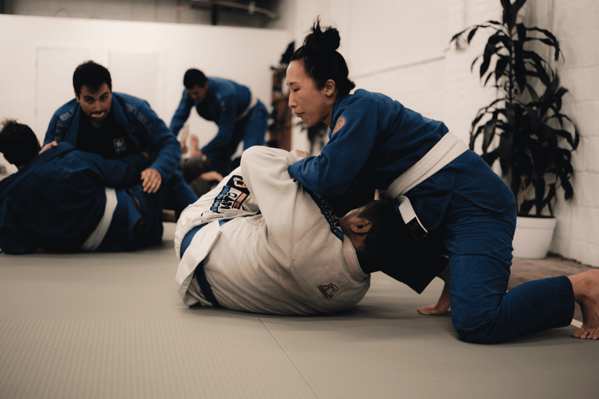 The Dojo NYC Special Offers